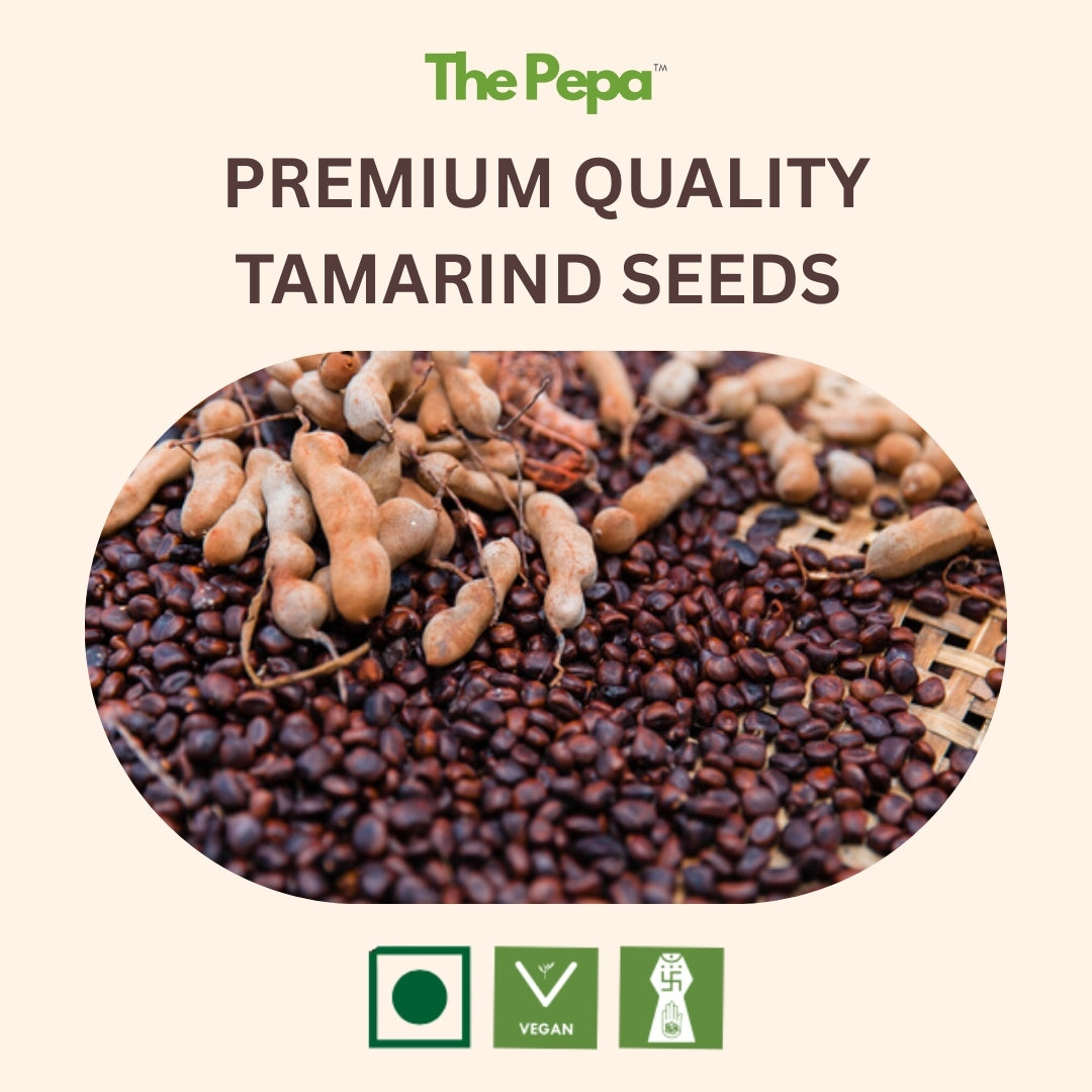 Premium Tamarind Seeds